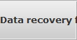 Data recovery for Mobile data